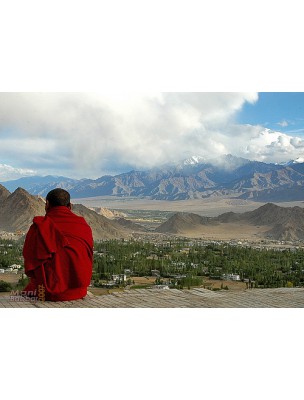 Image 6702 supplémentaire pour Himalaya Relaxant encens tibétains - 16 bâtonnets - Les Encens du Monde