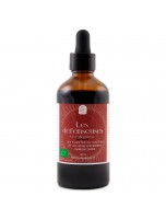 Image de Elixir Les défenseuses Sans Alcool Bio - Défenses naturelles 100 ml - Curanderas depuis ▷▷ Bourgeons sans alcool : la gemmothérapie pour tous.