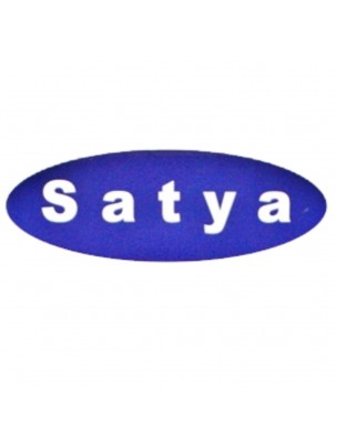 Image 67159 supplémentaire pour Vanille - Encens indien 15 g - Satya
