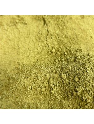 Image de Henné Neutre (Cassia) - Feuilles poudre 100g - Tisane de Cassia obovata depuis Cosmétiques maison DIY - Faites vos produits de beauté naturels (4)