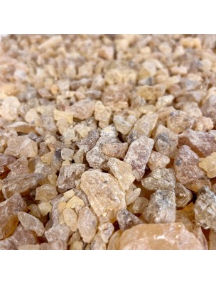 Image de Copal - Résine d'Encens Aromatique 100 g depuis louis-herboristerie