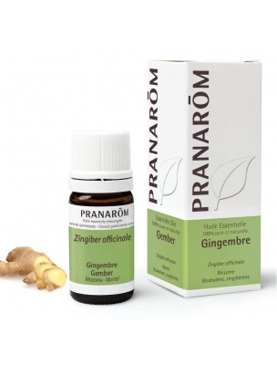 Image de Gingembre - Huile essentielle Zingiber officinale 5 ml - Pranarôm depuis Achetez les produits Pranarôm à l'herboristerie Louis (3)