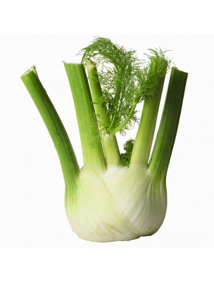 https://www.louis-herboristerie.com/6760-home_default/fennel-organic-bloating-and-digestion-120-capsules-purasana.jpg