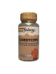 Cordyceps - Champignon Immunité 60 gélules végétales - Solaray
