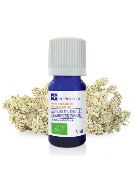 Image principale de Achillée Millefeuille Bio - Huile essentielle d'Achillea Millefolium 5 ml - Ad Naturam