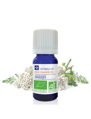 Image de Angélique Bio - Huile essentielle d'Angelica archangelica 5 ml - Ad Naturam via Arbre à Thé (Tea tree) Bio - Huile essentielle 10ml - Ad Naturam