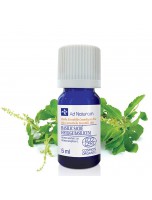 Image de Basilic Sacré Bio - Huile essentielle de Basilicum sanctum 5 ml - Ad Naturam depuis Herboristerie Louis - Produits de phytothérapie et d'herboristerie en ligne (17)