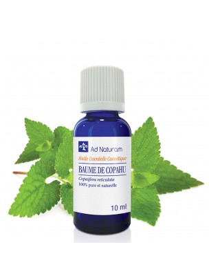 Image de Baume de Copahu - Huile essentielle de Copafaira reticulata 10 ml - Ad Naturam via Benjoin Bio - Huile essentielle de Styrax tonkinensis 10 ml - Ad Naturam