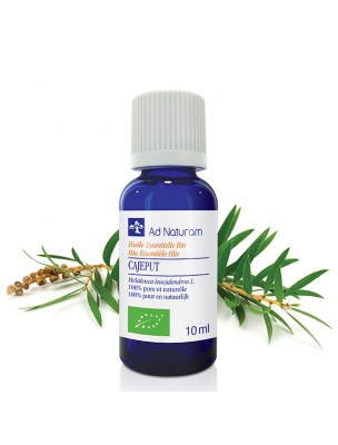 Image de Cajeput Bio - Huile essentielle de Melaleuca leucadendron 10 ml - Ad Naturam via Camomille Bleue (Tanaisie) Bio - Huile essentielle - Ad Naturam