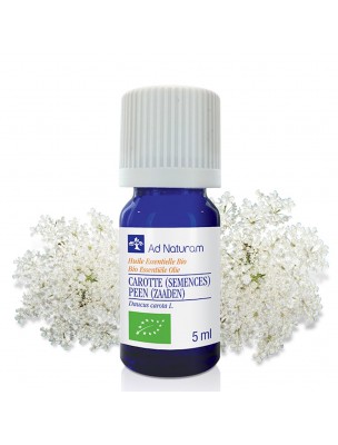 Image de Carotte (Semence Sauvage) Bio - Huile essentielle de Daucus carota 5 ml - Ad Naturam via Cèdre de l'Atlas Bio - Huile essentielle de Cedrus atlantica - Ad Naturam