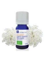 Image de Carotte (Semence Sauvage) Bio - Huile essentielle de Daucus carota 5 ml - Ad Naturam depuis ▷▷ Huiles essentielles de plantes commençant par la lettre C
