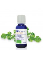 Image de Coriandre Bio - Huile essentielle de Coriandrum sativum 10 ml - Ad Naturam depuis Huiles essentielles - Découvrez nos produits naturels (7)