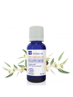 Image de Eucalyptus smithii Bio - Huile essentielle d'Eucalyptus smithii 10 ml - Ad Naturam depuis louis-herboristerie