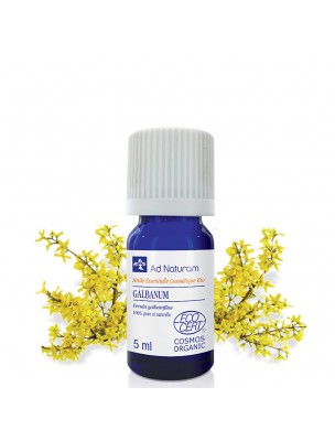 Image de Galbanum Bio - Huile essentielle de Ferula galbaniflua 5 ml - Ad Naturam via Gaulthérie couchée Bio - Ad Naturam