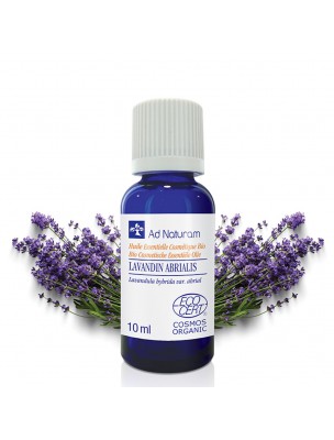 Image de Lavandin abrialis Bio - Huile essentielle de Lavandula hybrida briquet clone abrial 10 ml - Ad Naturam via Huile essentielle Lavandin Super Bio - 10 ml - Ad Naturam