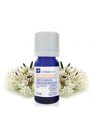 Image de Lédon du Groënland Bio - Huile essentielle de Rhododendron groenlandicum 2 ml - Ad Naturam depuis Lemongrass Bio - Huile essentielle de Cymbopogon flexuosus 10 ml - Ad Naturam