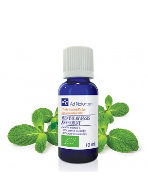 Image de Menthe arvensis Bio - Huile essentielle de Mentha arvensis 10 ml - Ad Naturam depuis Résultats de recherche pour "Tisane Respirat"