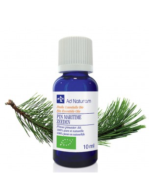 Image de Pin Maritime Bio - Huile essentielle de Pinus pinaster 10 ml - Ad Naturam depuis Résultats de recherche pour "Tisane Respirat"
