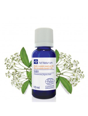 Image 67844 supplémentaire pour Saro (Mandravasarotra) Bio - Huile essentielle de Cinnamosma fragrans Baillon 10 ml - Ad Naturam