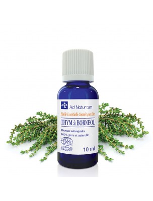 Image de Thym Blanc à Bornéol Bio - Huile essentielle de Thymus satureioides 10 ml - Ad Naturam depuis Résultats de recherche pour "Thym Bio - Resp"