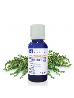 Image de Thym Blanc à Bornéol Bio - Huile essentielle de Thymus satureioides 10 ml - Ad Naturam depuis Thym à Linalol Bio 5ml - Ad Naturam