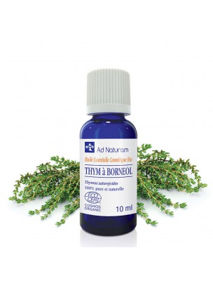 Image de Thym Blanc à Bornéol Bio - Huile essentielle de Thymus satureioides 10 ml - Ad Naturam via Thym à Linalol Bio 5ml - Ad Naturam