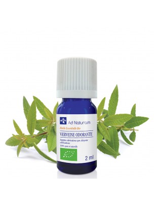 Image de Verveine Odorante Bio - Huile essentielle de Lippia citriodora 2 ml - Ad Naturam depuis ▷▷ Huiles essentielles de plantes commençant par la lettre V