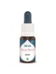 Zinnia Bio - Joie, Légèreté et Gaieté Elixir floral 15 ml - Deva
