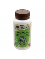Image de Nopal Bio - Minceur 100 gélules - SFB Laboratoires depuis Plantes en gélules - Achat en ligne | PhytoZwell (6)