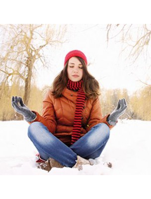 Image 67962 supplémentaire pour Violette - Fleurs 50g - Tisane de Viola odorata