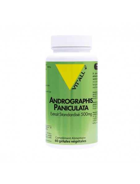 Image principale de Andrographis Paniculata 500mg - Respiration et Défenses Naturelles 60 gélules végétales - Vit'all+