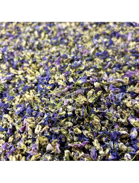 Image principale de Violette - Fleurs 25g - Tisane de Viola odorata
