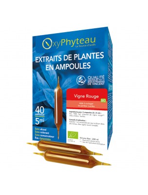 Image de Vigne Rouge Bio - Circulation 40 ampoules - Oxyphyteau depuis Achetez des ampoules de phytothérapie et d'herboristerie en ligne (3)