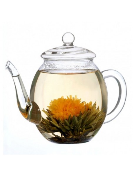 Image principale de Théière en Verre borosilicate pour Fleurs de Thé 500 ml