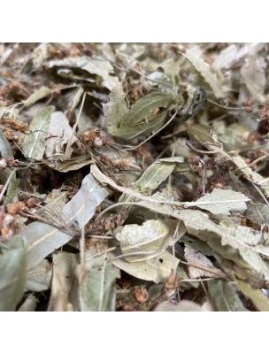 Image de Tilleul Bio - Bractées coupées 50g - Tisane Tilia platyphyllos Scop. via Macérât de bourgeon Bio Tilleul argenté - Stress et Sommeil | Herbiolys