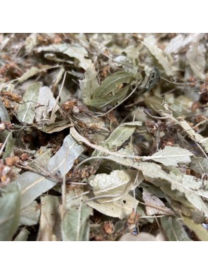 Image de Tilleul Bio - Bractées coupées 50g - Tisane Tilia platyphyllos Scop. via Aubépine Bio - Sommité fleurie 100g - Tisane de Crataegus monogyna Jacq.