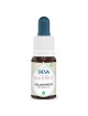 Hélianthème Bio - Courage et Force morale Élixir Floral de Bach 15 ml - Deva