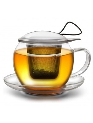 Image de Tasse en Verre borosilicate 450 ml avec son Infuseur et sa Soucoupe depuis Accessoires pour le thé - Dégustez votre infusion préférée
