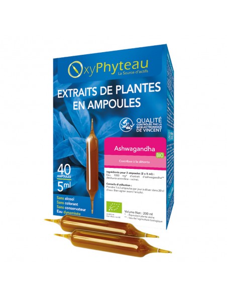 Achetez Ashwagandha Bio - Détente et Equilibre mental 40 ampoules - Oxyphyteau à l'herboristerie Louis Image principale de Ashwagandha Bio - Détente et Equilibre mental 40 ampoules - Oxyphyteau
