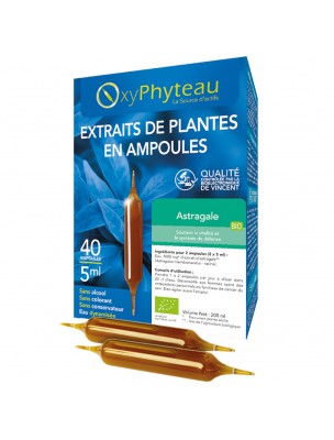 Image de Astragale Bio - Défenses Naturelles 40 ampoules - Oxyphyteau via Astragaloside IV 25mg - Vit'all+ - Soutient l'organisme