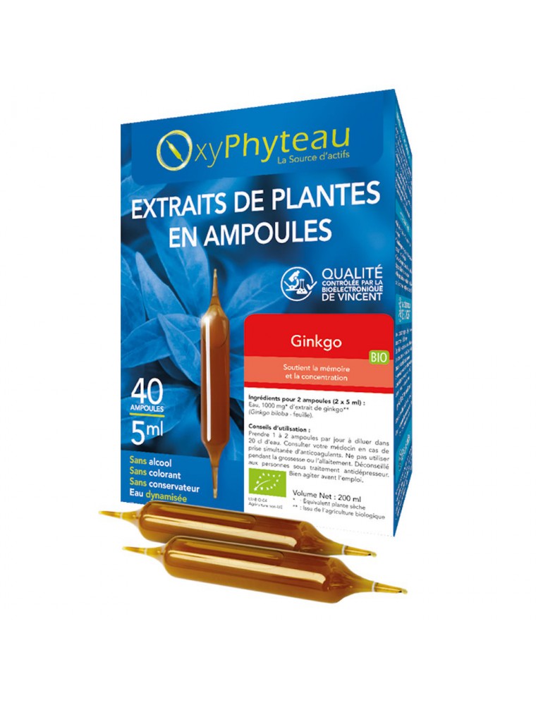 Image principale de la modale pour Ginkgo Bio - Mémoire et Concentration 40 ampoules - Oxyphyteau