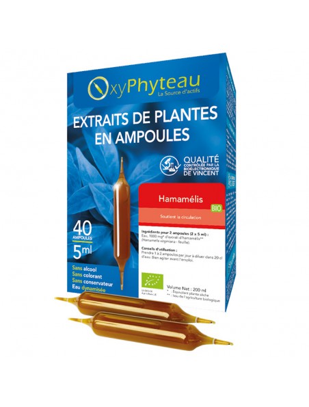 Achetez Hamamélis Bio - Circulation 40 ampoules - Oxyphyteau à l'herboristerie Louis Image principale de Hamamélis Bio - Circulation 40 ampoules - Oxyphyteau