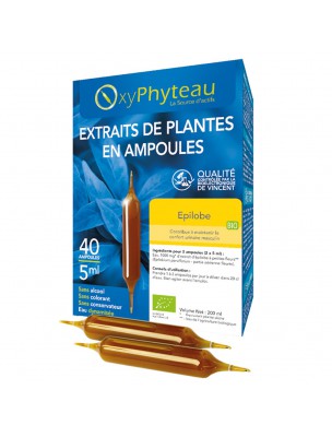 Image de Epilobe Bio - Elimination 40 ampoules - Oxyphyteau depuis Résultats de recherche pour "tisane-plantain"