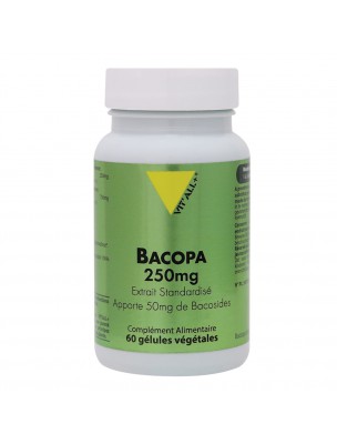 Image de Bacopa 250mg - Mémoire et Concentration 60 gélules végétales - Vit'all+ depuis Résultats de recherche pour "Concentration, "