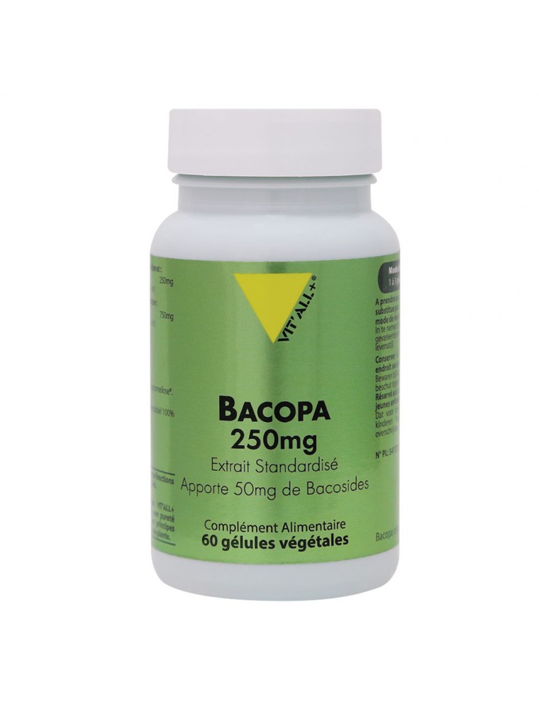 Image principale de la modale pour Bacopa 250mg - Mémoire et Concentration 60 gélules végétales - Vit'all+