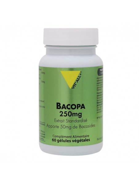 Image principale de Bacopa 250mg - Mémoire et Concentration 60 gélules végétales - Vit'all+