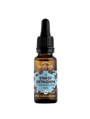 Image de Star of Bethlehem Etoile de Bethlehem n°29 - Courage et espoir Bio aux fleurs de Bach 20 ml - Biofloral depuis Commandez les produits Biofloral à l'herboristerie Louis