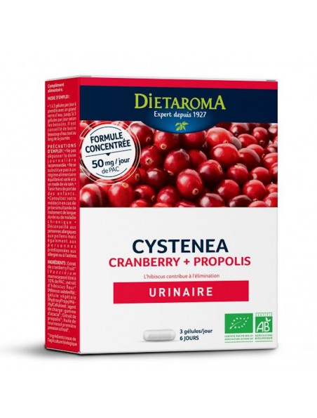Image principale de Cysténéa Bio - Système urinaire 20 gélules - Dietaroma