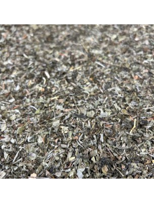 Image de Aspérule odorante - Partie aérienne coupée 100g - Tisane d'Asperula orodata depuis Achetez vos Tisanes en ligne (2)