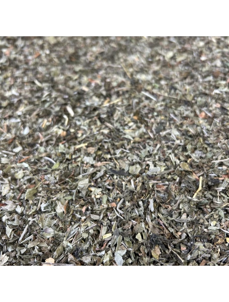 Image principale de la modale pour Aspérule odorante - Partie aérienne coupée 100g - Tisane d'Asperula orodata